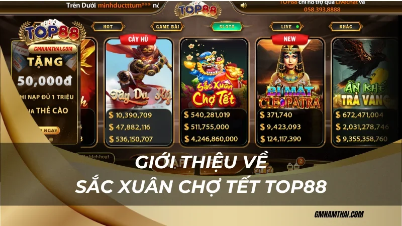 Giới thiệu về Sắc Xuân Chợ Tết Top88